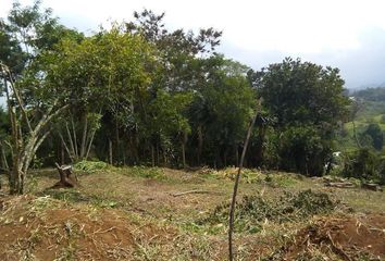 Lote de Terreno en  Emiliano Zapata, Xalapa-enríquez