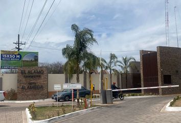 Lote de Terreno en  Pueblo Culiacancito, Culiacán
