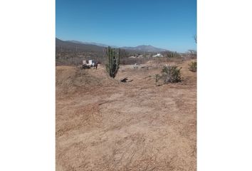 Lote de Terreno en  San José Del Cabo Centro, San José Del Cabo