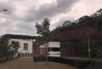 Lote de Terreno en  Las Heliconias De Pance, Pance Cabecera, Cali, Valle Del Cauca, Col