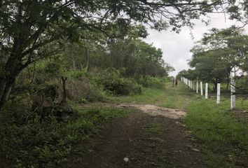 Lote de Terreno en  El Lencero, Municipio De Emiliano Zapata (veracruz)