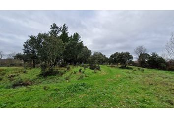 Terreno en  Ciudad Rodrigo, Salamanca Provincia