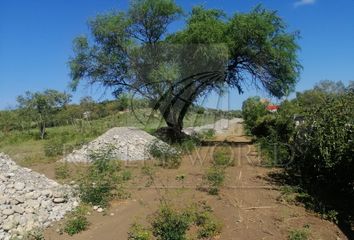 Lote de Terreno en  Ciudad Ciudad Allende, Allende, Nuevo León