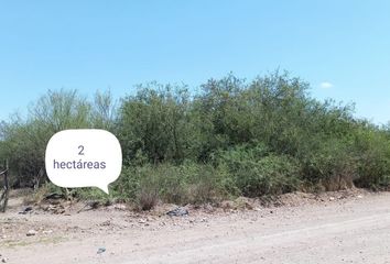 Lote de Terreno en  Calle Ramón Rojo 2058, Miguel Hidalgo, Ahome, Sinaloa, 81210, Mex