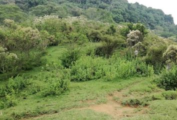 Lote de Terreno en  La Pitaya, Coatepec, Veracruz