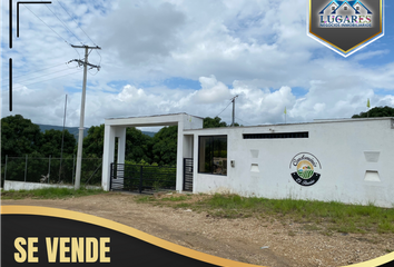 Lote de Terreno en  Carmen De Apicalá, Tolima