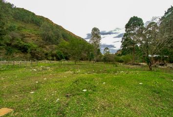 Bodega-Galpon en  Vilcabamba (victoria), Loja