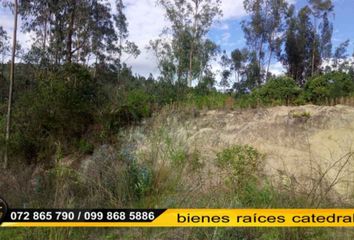 Terreno Comercial en  Ricaurte, Cuenca