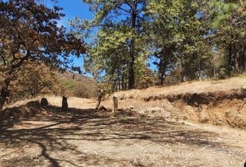 Lote de Terreno en  Tapalpa, Tapalpa, Tapalpa, Jalisco