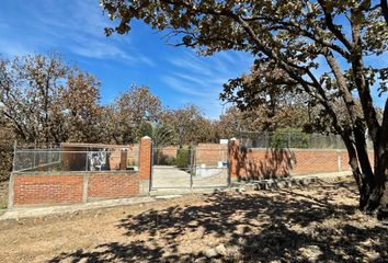 Lote de Terreno en  Copalita, Zapopan, Jalisco