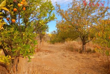 Parcela en  Curacaví, Melipilla