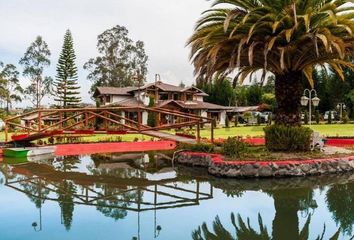 Bodega-Galpon en  Pifo, Quito