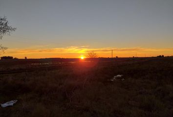 Terrenos en  Verónica, Punta Indio