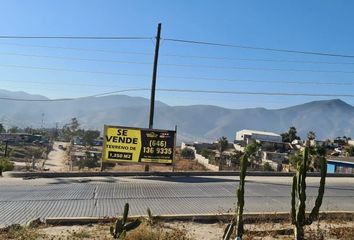 Lote de Terreno en  Boulevard Geranios 564-580, Ejido Ruiz Cortines, Ensenada, Baja California, 22810, Mex
