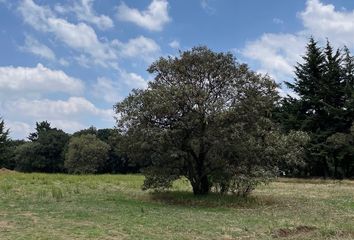 Lote de Terreno en  Agua Cristalina, Tlalpuente, Tlalpan, Ciudad De México, 14460, Mex