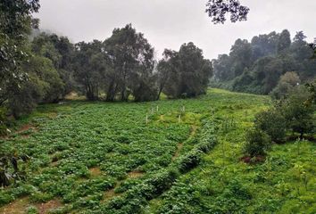 Lote de Terreno en  51268, Amanalco, México, Mex