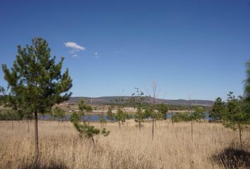 Lote de Terreno en  Tapalpa, Tapalpa, Tapalpa, Jalisco