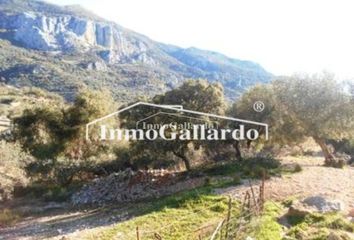 Terreno en  Alfarnatejo, Málaga Provincia