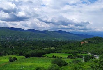 Lote de Terreno en  Abarrotes Bahena, Avenida José María Morelos, Fraccionamiento Ticumán, Tlaltizapán, Morelos, 62773, Mex