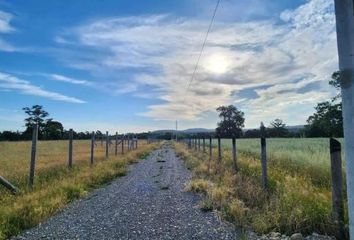 Parcela en  Freire, Cautín