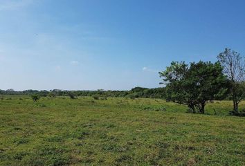 Lote de Terreno en  Playas Del Conchal, Alvarado, Veracruz