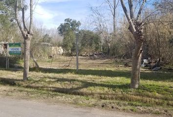 Terrenos en  Villa Nueva, Partido De Tigre