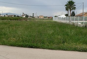 Terreno en  Santa Cruz Santa Cruz, Murcia Provincia