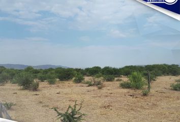 Lote de Terreno en  Adolfo López Mateos, Durango