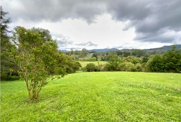 Lote de Terreno en  Rionegro Antioquía