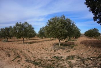 Chalet en  Los Duques, Valencia/valència Provincia