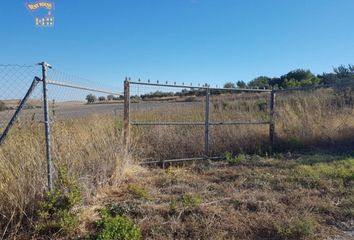 Terreno en  Arcos De La Frontera, Cádiz Provincia