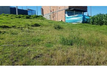 Terreno Comercial en  San Blas, Cuenca