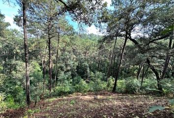 Lote de Terreno en  Avándaro, Valle De Bravo