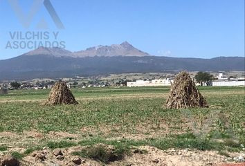 Lote de Terreno en  Vicente Guerrero, Toluca De Lerdo