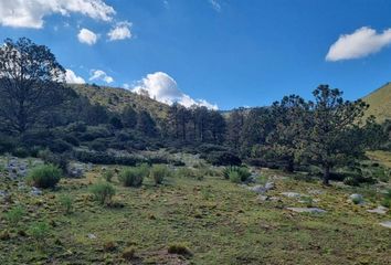 Lote de Terreno en  Arteaga, Arteaga, Arteaga, Coahuila