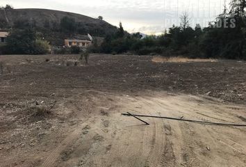 Parcela en  Colina, Chacabuco