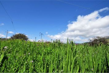 Parcela en  Ovalle, Limarí