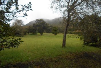 Lote de Terreno en  Yerbabuena, Chía