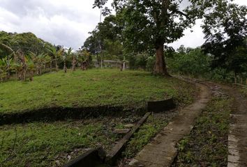 Lote de Terreno en  P8v8+xj Pereira, Risaralda, Colombia