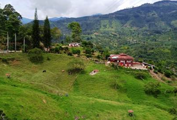 Lote de Terreno en  Jardín, Antioquia