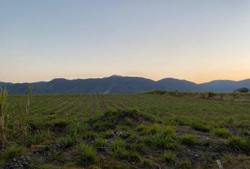 Lote de Terreno en  Paso Blanco, Tuxpan, Tuxpan, Jalisco