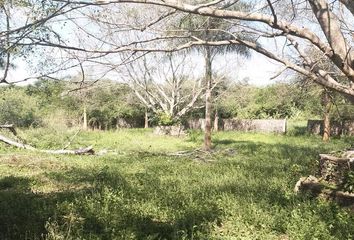 Lote de Terreno en  Calle 33, Centro Hunucmá, Hunucmá, Yucatán, 97350, Mex