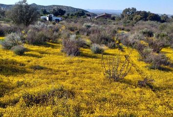 Lote de Terreno en  Tecate, Baja California, Mex