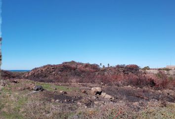 Lote de Terreno en  Hidalgo, Ensenada