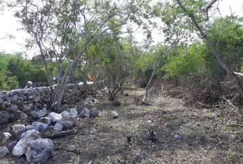 Lote de Terreno en  Mérida, Mérida, Mérida, Yucatán