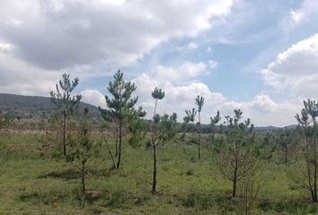 Lote de Terreno en  Amealco De Bonfil, Querétaro, Mex