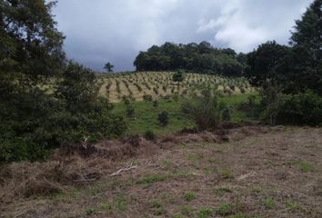 Lote de Terreno en  40, Calima, Valle Del Cauca, Col