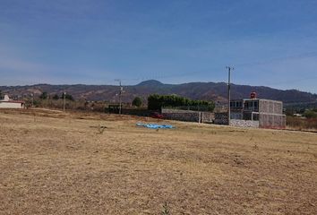 Lote de Terreno en  Atlatlahucan, Morelos, Mex