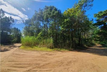 Terrenos en  Otro, Pinamar