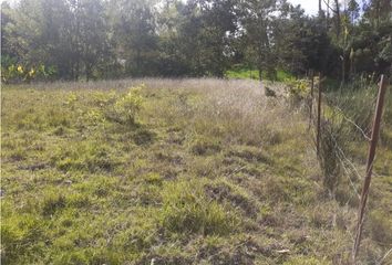 Terreno Comercial en  Gualaceo, Azuay, Ecuador